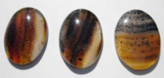 Set of 5 MONTANA MOSS AGATE OVAL CABOCHONS 63.40 Carats  
