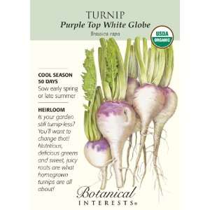  Turnip Purple Top White Globe Organic Seed Patio, Lawn 