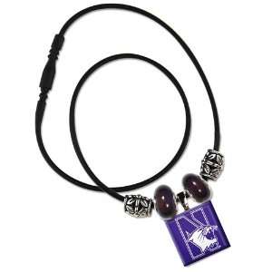  NORTHWESTERN WILDCATS OFFICIAL 18 NECKLACE Sports 