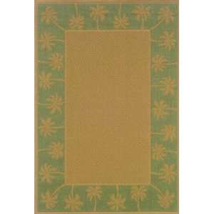  Sphinx 606F2.5X4.5 Lanai Small Rug Rug   Beige/Green