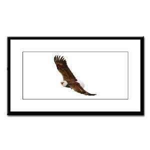  Small Framed Print Bald Eagle Flying: Everything Else