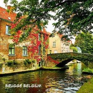  Brugge, Belgium Fridge Magnet: Home & Kitchen