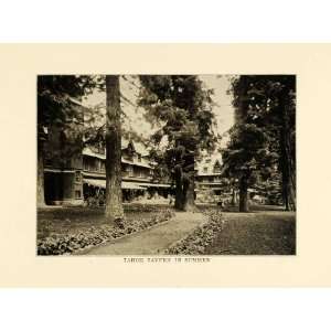   Resort Hotel Lodge Tree   Original Halftone Print