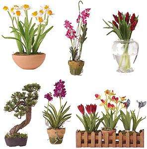   Set of 6 Miniature Flower Plant Tree Floral Arrangements 3 8 H