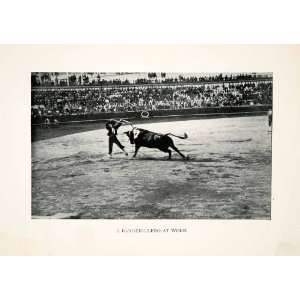 1904 Print Banderillero Matador Bullfighter Plaza Toros Seville Spain 