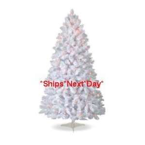   Pre lit Multi Color White Colorado Pine Christmas Tree: Home & Kitchen