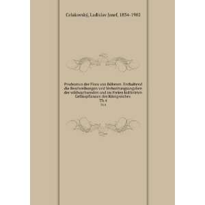   KÃ¶nigreiches . Th.4 Ladislav Josef, 1834 1902 CelakovskÃ½ Books
