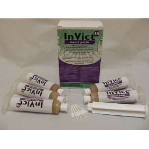  InVict AB Insect Paste Bait Insecticide   1 box (5 x 1.25 