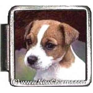  Beagle Puppy Italian Charm Bracelet Jewelry Link A10005 