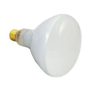 Jacuzzi/Cantar Light Repair Parts 12V, 300W light bulb  