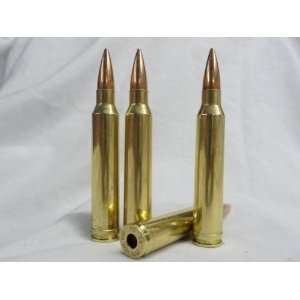 300 mag Dummy ammo, dummy bullets, Winchester Remington Savage Ruger 