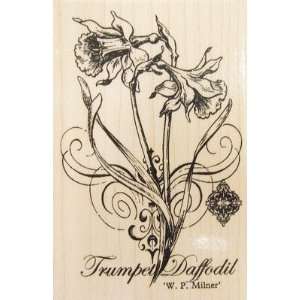  Scrapbooking wood stamp daffodil: Arts, Crafts & Sewing