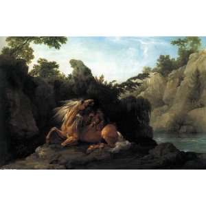   Stubbs   24 x 16 inches   Lion Devouring a Horse: Home & Kitchen