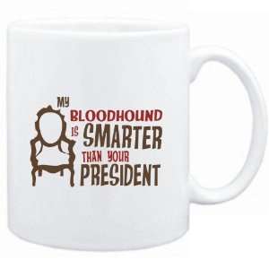   Bloodhound IS SMARTER THAN YOUR PRESIDENT   Dogs