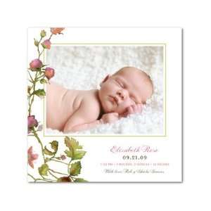    Girl Birth Announcements   Blooming Roses By Lisa Levy: Baby