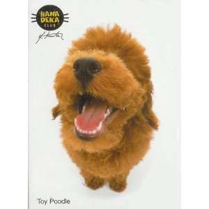  Hanadeka Dog   Mini Puzzle   Toy Poodle