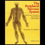 Peripheral Nervous System  Structure, Function, and Clinical 