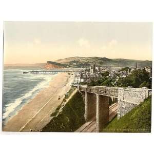   Reprint of View from E. Cliff, Teignmouth, England: Home & Kitchen