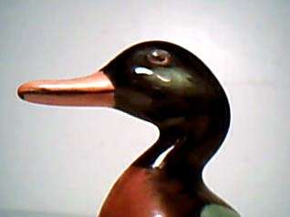   Doulton Drake Mallard Duck Figurine Number HN807 Pottery China  