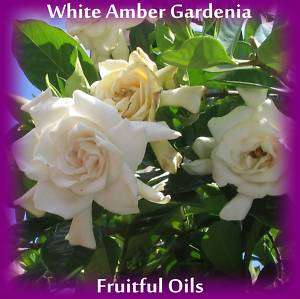 WHITE AMBER GARDENIA PERFUME OIL ~ LUSCIOUS BLEND!  