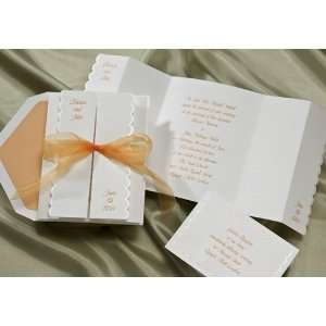  Tangy Tangerine and Chiffon Wedding Invitations Health 