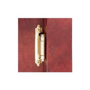   Overlay Surface Mount Hinges   Antique Brass   pair: Home Improvement