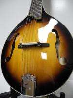 Gold Tone GM 6 String Octave (Higher) Maple Mandolin NEW  