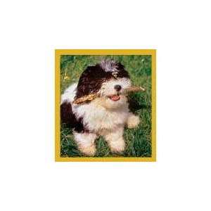 Magnetic Bookmark Shih Tzu Puppy (Ready To Play)  Kitchen 