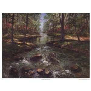  Cascading Brook I   Poster by Van Martin (25x19)