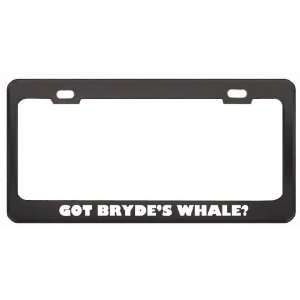 Got BrydeS Whale? Animals Pets Black Metal License Plate Frame Holder 