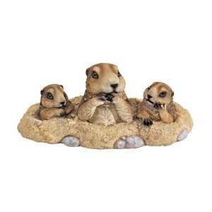 Xoticbrands 5 Classic Burrowing Ground Squirrel Home 