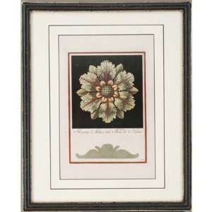  Rosettes II Framed Wall Art (Set of 3) by Paragon