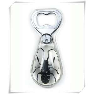    Spotted Longhorn Beetle Beer Bottle Opener (Clear) 