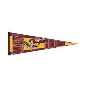  Minnesota Gophers 3 Pennant Set *SALE*