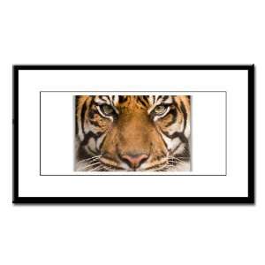  Small Framed Print Sumatran Tiger Face 