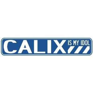   CALIX IS MY IDOL STREET SIGN