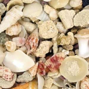  CaribSea Seaflor Aruba Puka Shell Substrate: Pet Supplies