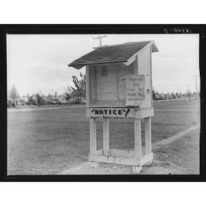    Shafter Migrant Camp,Kern County,California,CA,1938