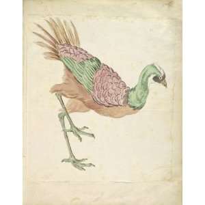   Jean Baptiste Oudry   32 x 42 inches   Striding Bird: Home & Kitchen