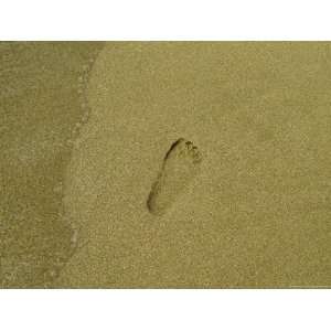  Lone Footprint in the Sand on Caribbean Beach Stretched 
