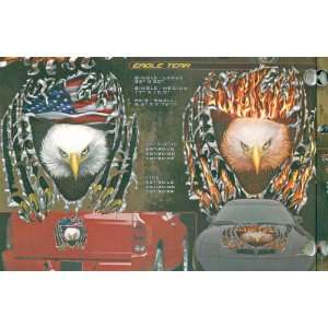   : Speed Graphics Eagle Tear Small Pair Auto Graphics: Everything Else