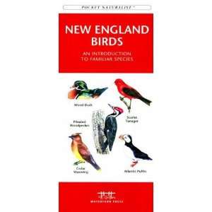  Waterford Press WFP1583551721 New England Birds Book Pet 