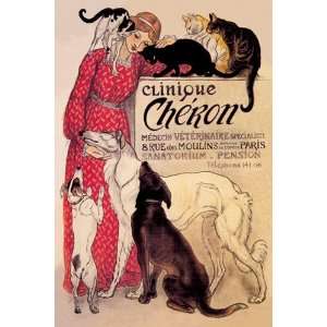  Clinique Cheron   Veterinary Medicine & Hotel by Theophile 