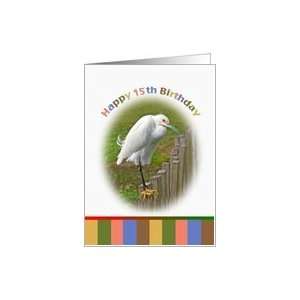  15th Birthday Card with Snowy Egret on a Fence Card Toys & Games