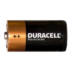   Batteries 2 Cases great for outdoor speakers