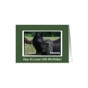  Happy 13th Birthday Horse Card: Toys & Games