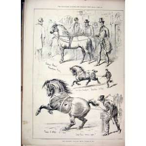   1878 Glasgow Stallion Show Horses Silver Cloud Print