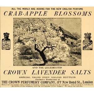  1893 Ad Crown Perfumery Co. Apple Blossom Tree Perfume 
