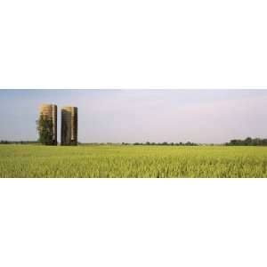  Grain Silos in a Field, Arkansas, USA by Panoramic Images 