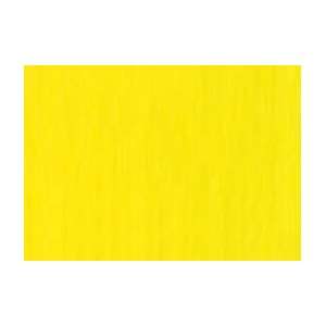  Shinhan Touch Twin Marker   Fluorescent Yellow Arts 